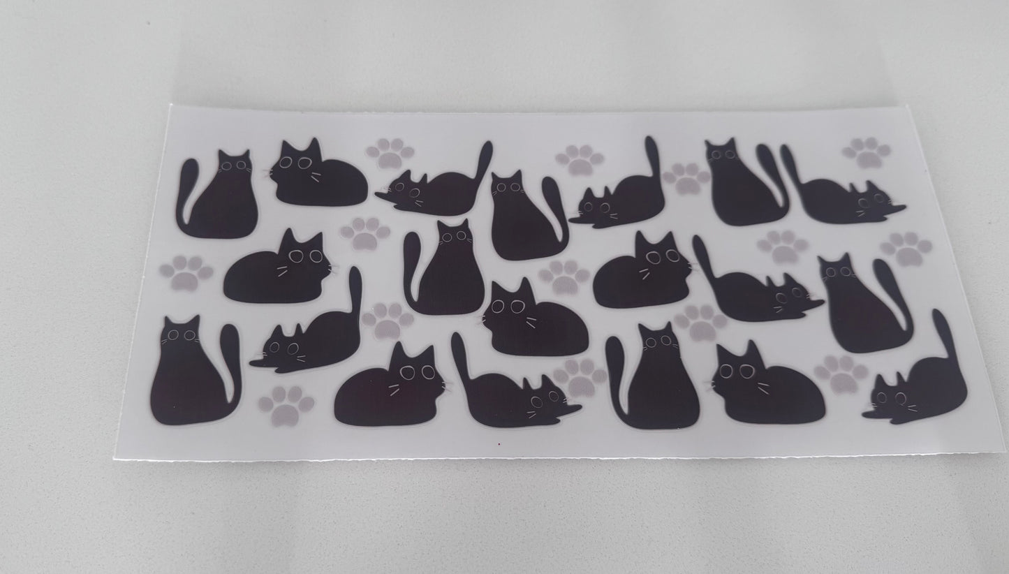 Cats sitting