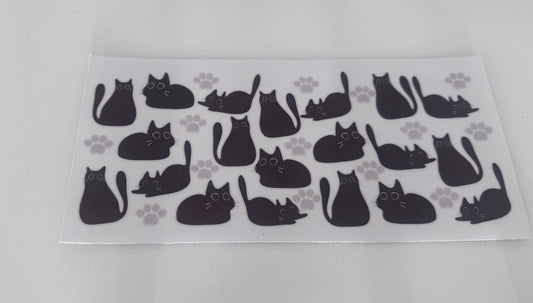 Cats sitting